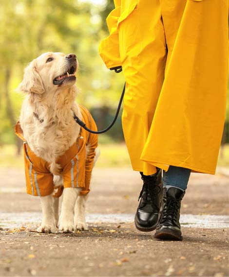 Hundbajspåsar för hundlatriner